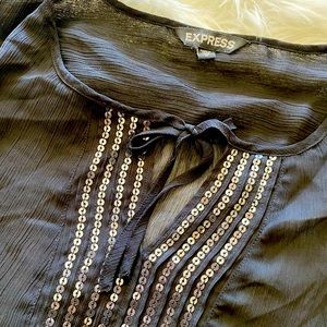Express sheer blouse